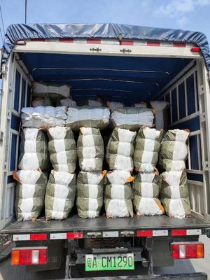 Các suối cuộn túi bền cho ghế sofa và đệm hỗ trợ
