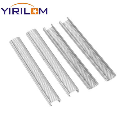 Sắp đặt C Ring Nail Hog Ring Gạch Staples Sắp ráp Ghiếc bọc bạc White Nail C Hog