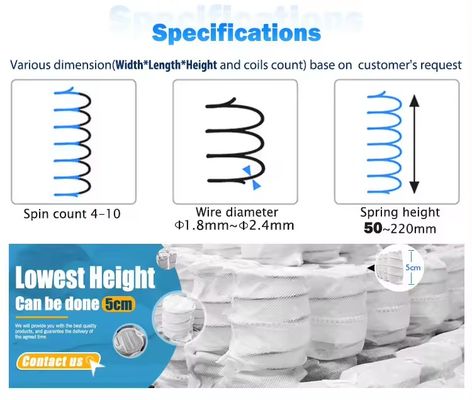 Sofa hỗ trợ nội bộ độc lập túi cuộn suối cho Steating Cushion
