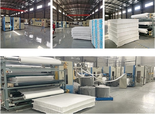 Nhà cung cấp lò xo túi tốt nhất Nhà sản xuất lò xo túi khu vực tùy chỉnh lò xo túi