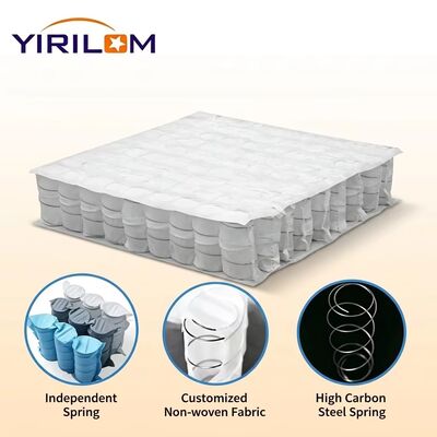 Foshan Direct Factory Independent Sofa Pocket Spring Unit cho Nhà sản xuất và xuất khẩu ghế ngồi