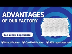 lợi thế của nhà máy