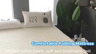 Nệm Memory Foam Giá Rẻ 6cm Gấp 10cm